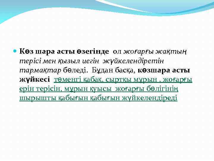  Көз шара асты өзегінде ол жоғарғы жақтың терісі мен қызыл иегін жүйкелендіретін тармақтар