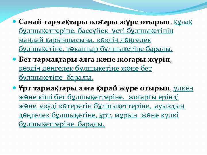  Самай тармақтары жоғары жүре отырып, құлақ бұлшықеттеріне, бассүйек үсті бұлшықетінің маңдай қарыншасына, көздің