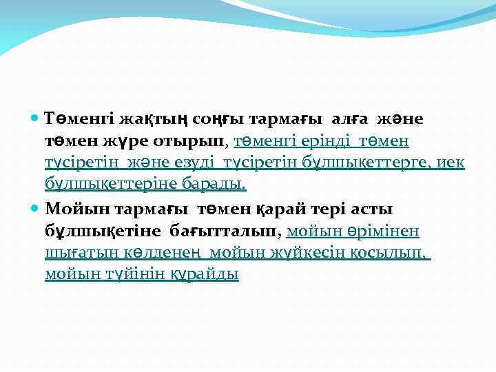  Төменгі жақтың соңғы тармағы алға және төмен жүре отырып, төменгі ерінді төмен түсіретін