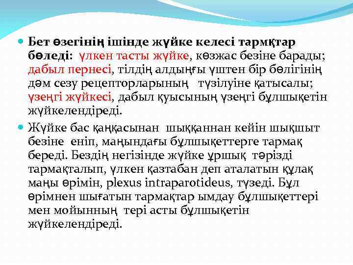  Бет өзегінің ішінде жүйке келесі тармқтар бөледі: үлкен тасты жүйке, көзжас безіне барады;