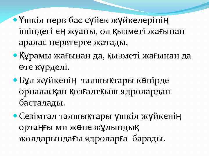  Үшкіл нерв бас сүйек жүйкелерінің ішіндегі ең жуаны, ол қызметі жағынан аралас нервтерге