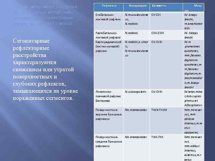 Уровни замыкания основных поверхностных и глубоких рефлексов соответственно сегментам спинного мозга Сегментарные рефлекторные расстройства