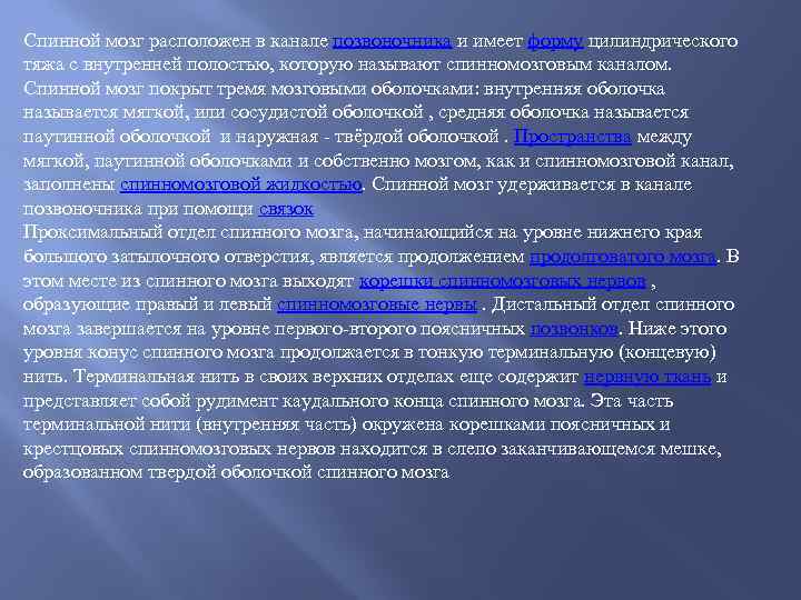 Спинной мозг расположен в канале позвоночника и имеет форму цилиндрического тяжа с внутренней полостью,