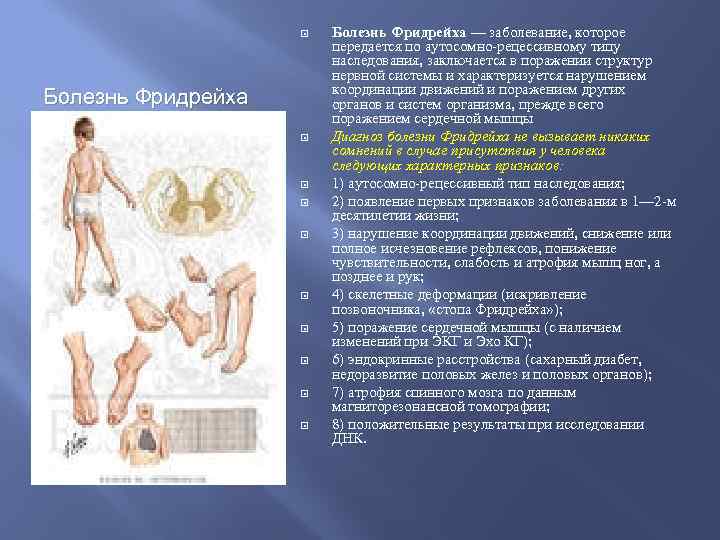 Болезнь фридрейха презентация