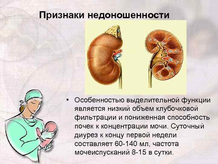 Признаки недоношенности • Особенностью выделительной функции является низкий объем клубочковой фильтрации и пониженная способность