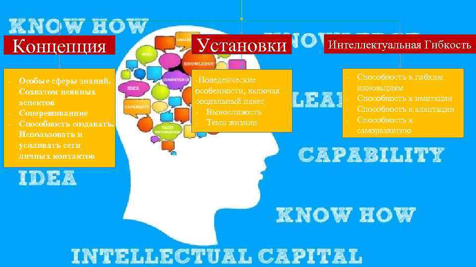 Концепция Особые сферы знаний. Сохватом неявных аспектов Сопереживанние Способность создавать. Использовать и усиливать сети