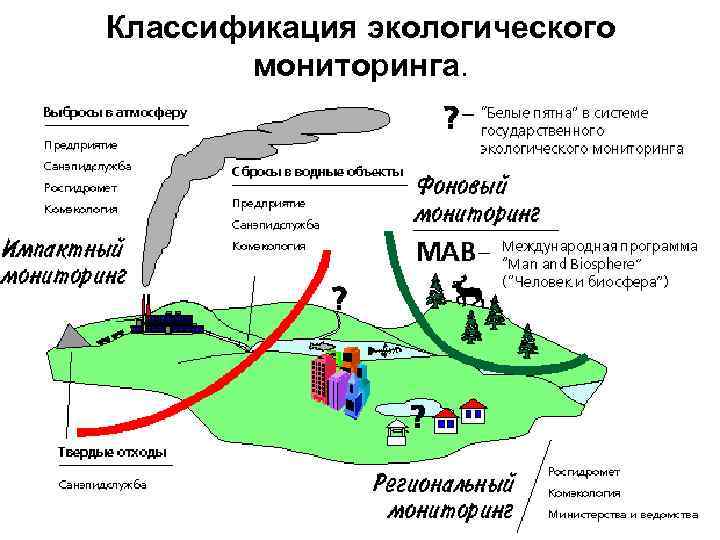 Классификация экологического мониторинга. 