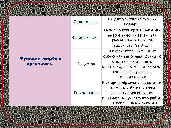 Входят в состав клеточных мембран Используются организмом как энергетический запас, при Энергетическая расщеплении 1