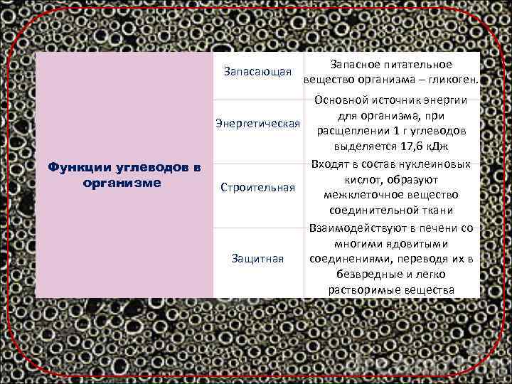  Запасающая Функции углеводов в организме Запасное питательное вещество организма – гликоген. Основной источник