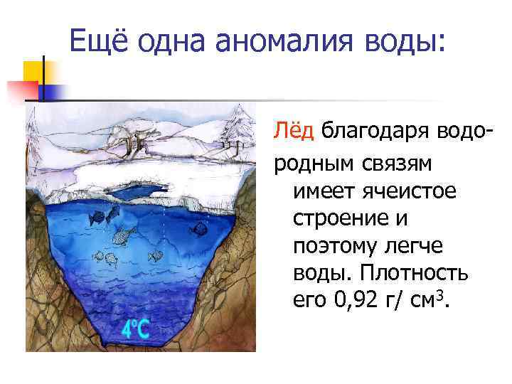 Ещё одна аномалия воды: Лёд благодаря водородным связям имеет ячеистое строение и поэтому легче