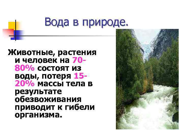Вода в природе. Животные, растения и человек на 7080% состоят из воды, потеря 1520%
