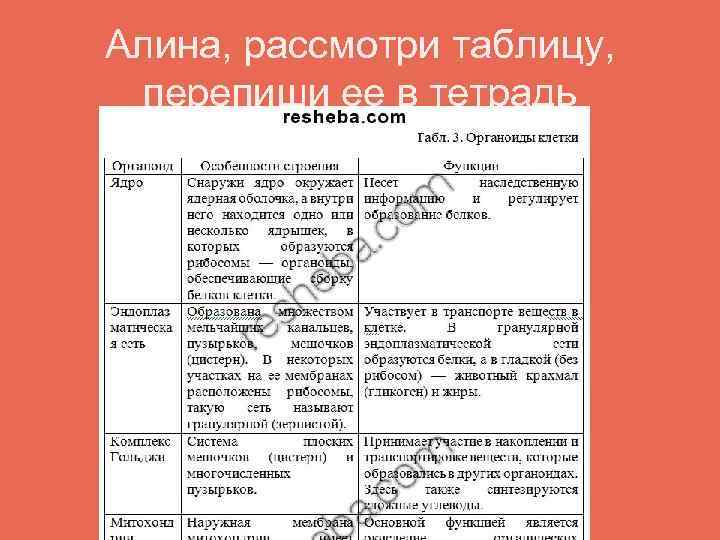 Алина, рассмотри таблицу, перепиши ее в тетрадь 