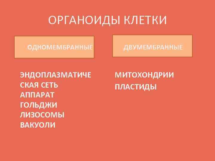 ОРГАНОИДЫ КЛЕТКИ ОДНОМЕМБРАННЫЕ ЭНДОПЛАЗМАТИЧЕ СКАЯ СЕТЬ АППАРАТ ГОЛЬДЖИ ЛИЗОСОМЫ ВАКУОЛИ ДВУМЕМБРАННЫЕ МИТОХОНДРИИ ПЛАСТИДЫ 