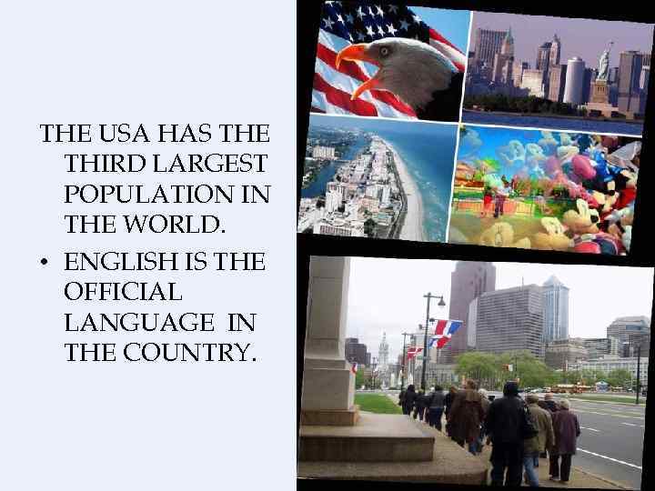 THE USA HAS THE THIRD LARGEST POPULATION IN THE WORLD. • ENGLISH IS THE