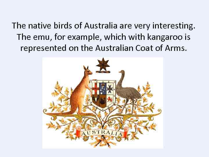 The native birds of Australia are very interesting. The emu, for example, which with