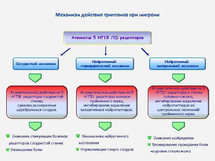 Механизм действия триптанов при мигрени Агонисты 5 HT 1 B /1 D рецепторов Сосудистый