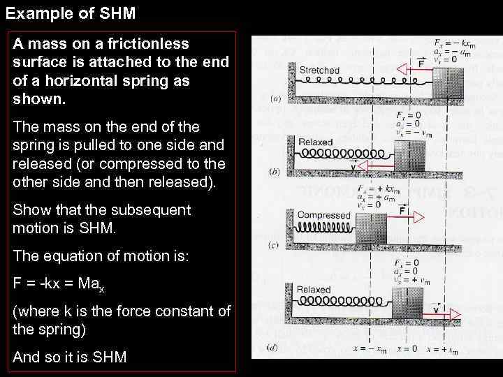 Example of SHM A mass on a frictionless surface is attached to the end