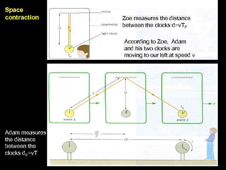 Space contraction Zoe measures the distance between the clocks d=v. TP According to Zoe,