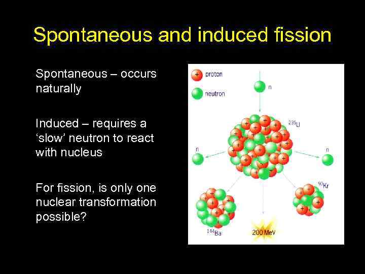 Spontaneous and induced fission Spontaneous – occurs naturally Induced – requires a ‘slow’ neutron
