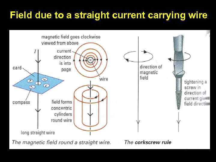 Field due to a straight current carrying wire 11 
