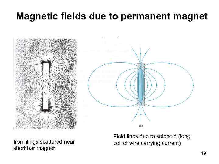 Magnetic fields due to permanent magnet Iron filings scattered near short bar magnet Field