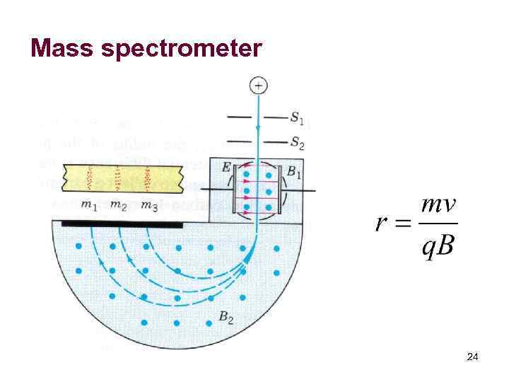 Mass spectrometer 24 