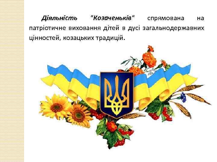 Діяльність 
