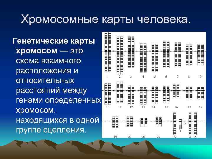 Генетическая карта показывает