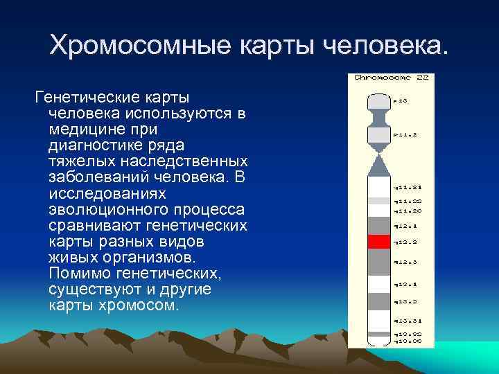 Хромосомные карты человека. Генетические карты человека используются в медицине при диагностике ряда тяжелых наследственных