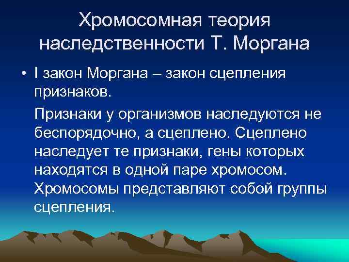 Хромосомная теория наследственности Т. Моргана • I закон Моргана – закон сцепления признаков. Признаки