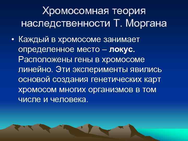 Хромосомная теория наследственности Т. Моргана • Каждый в хромосоме занимает определенное место – локус.