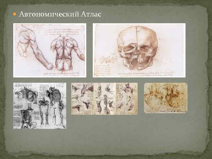  Автономический Атлас 