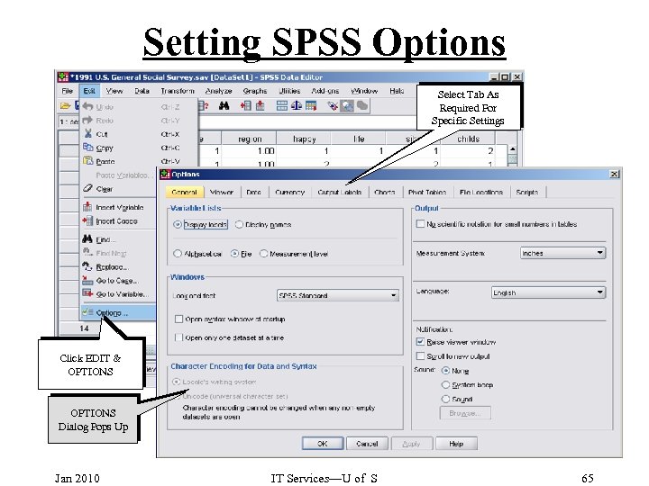 Setting SPSS Options Select Tab As Required For Specific Settings Click EDIT & OPTIONS