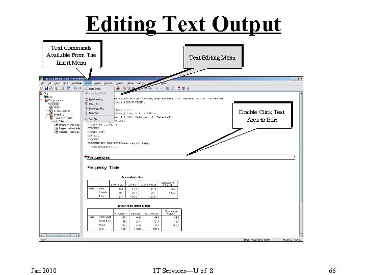 Editing Text Output Text Commands Available From The Insert Menu Text Editing Menu Double