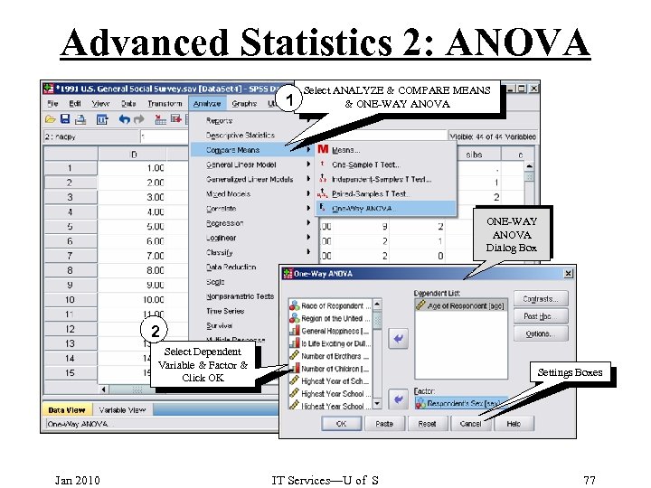 Advanced Statistics 2: ANOVA 1 Select ANALYZE & COMPARE MEANS & ONE-WAY ANOVA Dialog