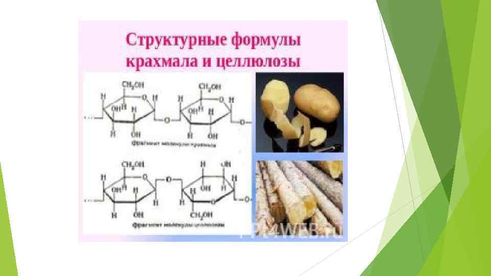 Схема образования крахмала