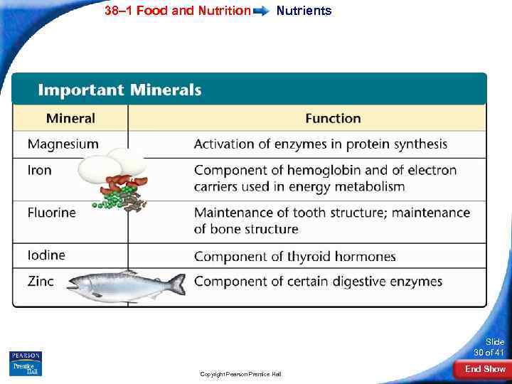 38– 1 Food and Nutrition Nutrients Slide 30 of 41 Copyright Pearson Prentice Hall