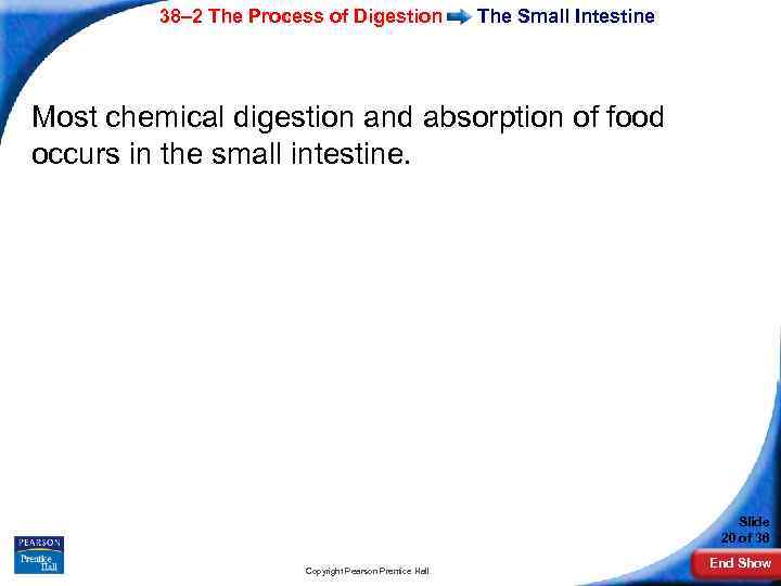 38– 2 The Process of Digestion The Small Intestine Most chemical digestion and absorption