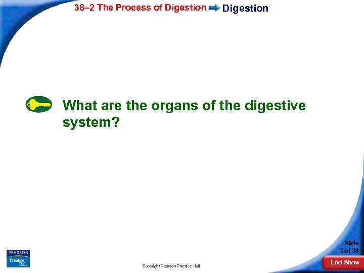 38– 2 The Process of Digestion What are the organs of the digestive system?