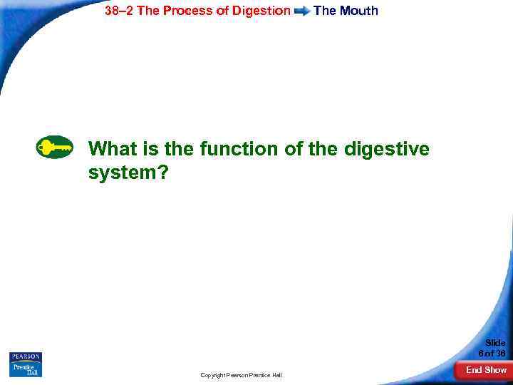 38– 2 The Process of Digestion The Mouth What is the function of the