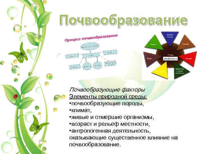 Почвообразование Почвообразующие факторы Элементы природной среды: • почвообразующие породы, • климат, • живые и