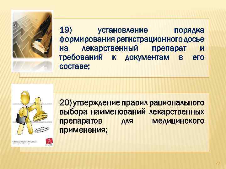 19) установление порядка формирования регистрационного досье на лекарственный препарат и требований к документам в