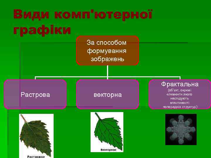 Види комп'ютерної графіки За способом формування зображень Фрактальна Растрова векторна (об'єкт, окремі елементи якого