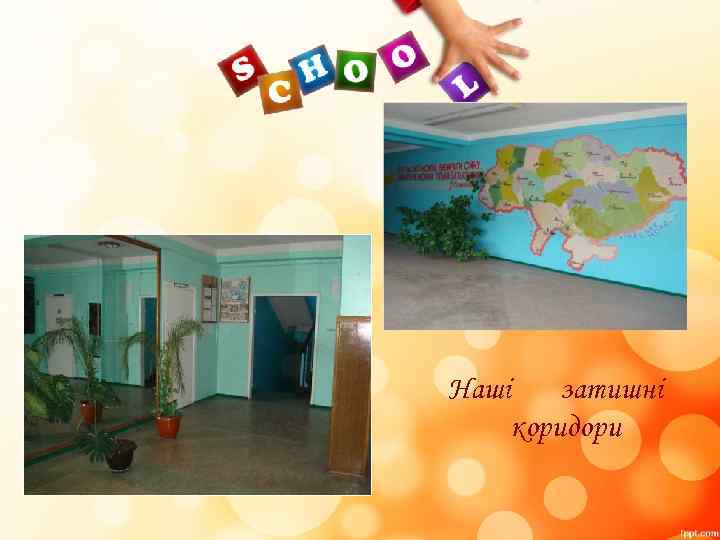 Наші затишні коридори 