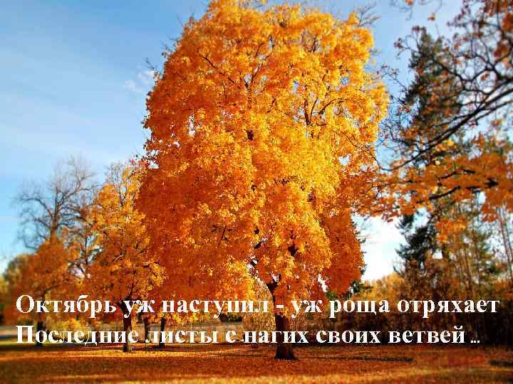 Октябрь уж наступил - уж роща отряхает Последние листы с нагих своих ветвей …