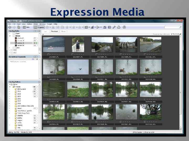 Expression Media 