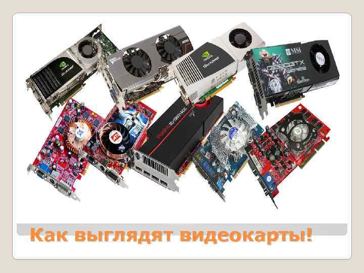 Как выглядят видеокарты! 