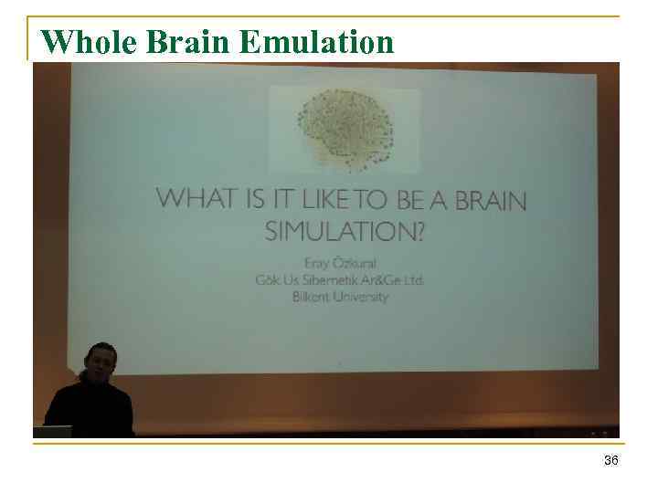 Whole Brain Emulation 36 