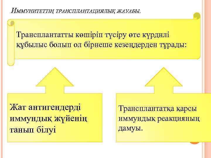 ИММУНИТЕТТІҢ ТРАНСПЛАНТАЦИЯЛЫҚ ЖАУАБЫ. Трансплантатты көшіріп түсіру өте күрднлі құбылыс болып ол бірнеше кезеңдерден тұрады: