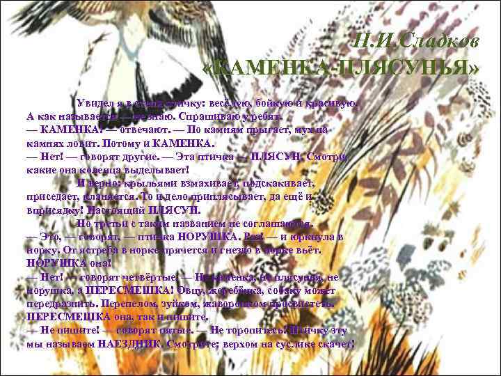  Н. И. Сладков «КАМЕНКА-ПЛЯСУНЬЯ» Увидел я в степи птичку: весёлую, бойкую и красивую.